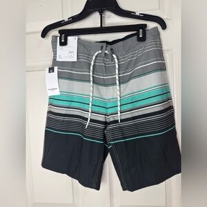 Goodfellow & Co Men's Striped Swim Trunks - Gray and Green